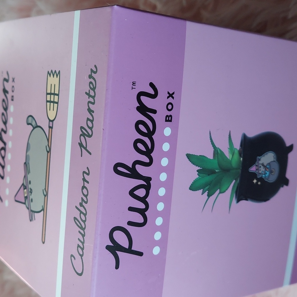 Pusheen cauldron planter